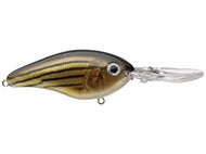 Barfish