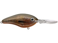 Orange Bream