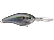 Natural Shad