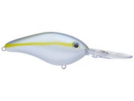 Sexy Blue Back Herring