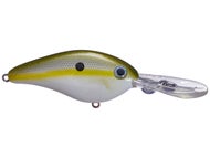 Olive Shad