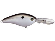 Gizzard Shad