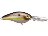 Summer Sexy Shad