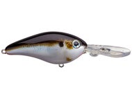 Natural Shad