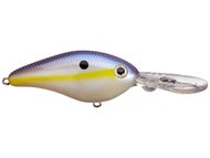 Chartreuse Shad