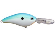 Citrus Shad