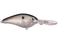 Green Gizzard Shad