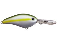 Sexy Blue Back Herring