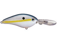 Sexy Shad