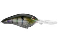 Leurre Strike King 8XD Pro-Model Series – TN Shad – Profondeur 20 Ft – Neuf