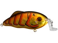 Strike King Hybrid Hunter Shallow Citru Shad Fishing Lure
