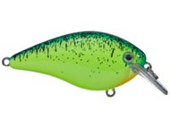 Chart Blue Black Splatterback