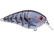 Blue Craw