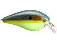 Leurres De Pêche Strike King KVD 2.5 Squarebills – Crankbait Forme Poisson