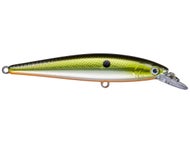 Silver TN Shad
