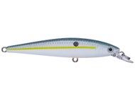Sexy Shad