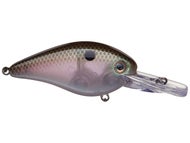 Green Gizzard Shad