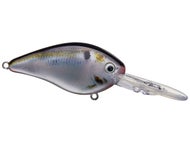 Natural Shad