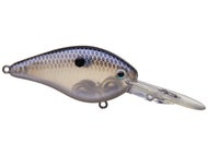 Blue Gizzard Shad