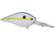 Sexy Shad