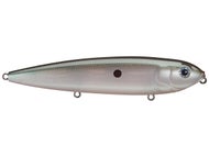 Green Gizzard Shad