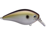 TN Shad 2.0