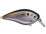 Natural Shad