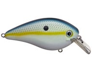 Chartreuse Sexy Shad
