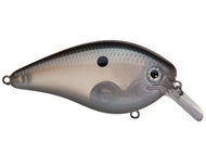 Green Gizzard Shad