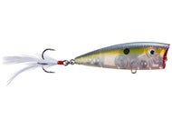 Clear Sexy Shad