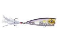 Clearwater Minnow