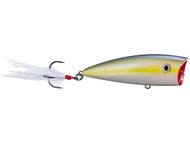 Sexy Blue Back Herring