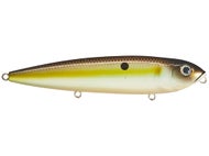 Summer Sexy Shad