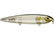 Clearwater Minnow