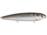 Natural Shad
