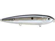 Blue Gizzard Shad