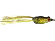 Watermelon Green Pumpkin Back