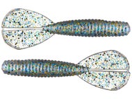 Bluegill