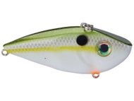 Olive Shad