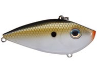 TN Shad 2.0