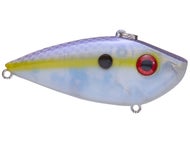 Chartreuse Shad