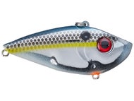 Chrome Sexy Shad