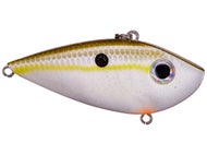 Olive Shad
