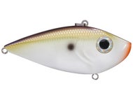 TN Shad 2.0