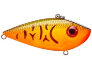 Brown Org Belly Craw