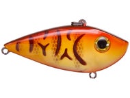 DB Craw