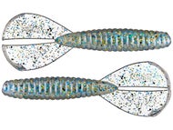 Bluegill