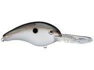Gizzard Shad