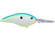 Citrus Shad