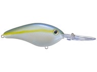 Sexy Blue Back Herring